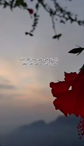 ‏يقول  خالد عبدالرحمن: ‏لك خفوقي اشتقا ثم اهتنا بك ‏وفي عروقي دمي الجاري اغتذى بك#خالديات #ملك_الفن #خالد_عبد_الرحمن #لايك_فولو #اكسبلووور 