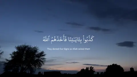 #quran #عبدالرحمن_مسعد 