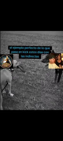 dejen quieto al que está quieto...#peru #parati #teamchoclito🌽🌽 #cañita #batallas #kick #explore s#how #Viral #Amigos 