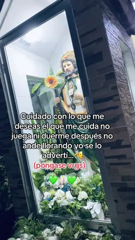 #💚 #paraty #sanjudastadeo💚 