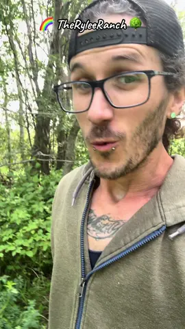 Kalan at The Rylee Ranch: Today we’re cutting down dead trees! #ryleeranch #kalanrylee #followme #foryou #foryoupage #fyp #trending #tiktok #Love #animals #viral #outdoor #Summer #farm #farmlife #dailylife #gayboy #farmboy #alberta #arborist #tree #zaynrylee #poodle #standardpoodle #horse #llama #alpaca #cow #tarzanthepoodle #oswaldthepoodle