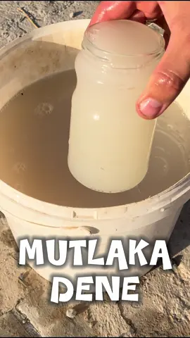 Kuru maya sadece mutfakta değil, bahçede de mucizeler yaratır! 🌱 Bu tarifle bitkilerinizin kök gelişimini destekleyin, toprağın pH dengesini koruyun ve mantar hastalıklarına karşı doğal koruma sağlayın. 👉 Sadece 4 basit malzemeyle: • Kuru maya • Karbonat • Şeker • Ilık su Hazırla, karıştır, doğrudan köklere dök! Bekletmeden kullan, etkisini hemen gör. 💬 Sence kuru maya gübresini en çok hangi bitkiler sever? Yorumlara yaz! 📌 Beğenmeyi unutma ve organik tarım için daha fazla içerik istiyorsan kanala abone ol! #mayagübresi #organiktarım #bitkibakımı #doğalgübre #evdegübre #bahçehilesi   #kökgelişimi #bitkisevgisi #bahçedeyim #gardeningtips #organicfertilizer #yeastfertilizer   #bitkitüyosu #doğalçözüm #bahçemvar #balkonbahçesi #shortsvideo #reelstürkiye #tiktokbahçe