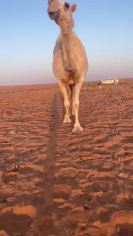 عينكم على يدها ماشاءلله تبارك الرحمن جعل الي مثلها واجد 