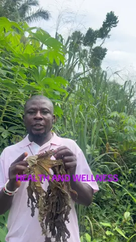HEALTH AND WELLNESS #HEALTHANDWELLNESS