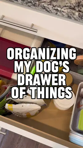 if this seems like a bit much it’s because it is  #dogmom #spoiledpup #dogtreats #dogmomlife #shihtzusoftiktok 