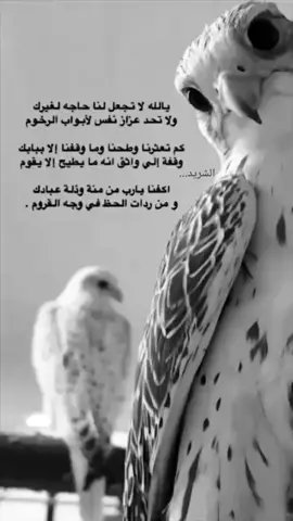#تصميم_فيديوهات🎶🎤🎬ــــــــــــــــــــــ💔 #مجرد________ذووووووق🎶🎵💞 #ـمــــــــــ❥ـجرد_ـذوق📿تصم 