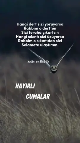 #hayırlıcumalar🌹🌺🌺🌷💖 #cumanız_mübarek_olsun🌹🕋🌹🕌🤲 