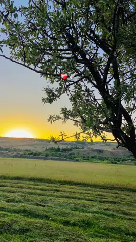 #sözbırakın📌 #eyupcelikk12 #storylikvideolar 