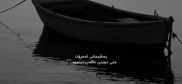 #viral #kurdistan #foryou 