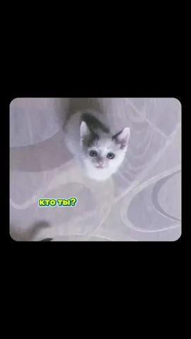 Присылайте малыша своим солнышкам❤️🌞