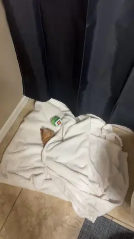 baby pumpkin 