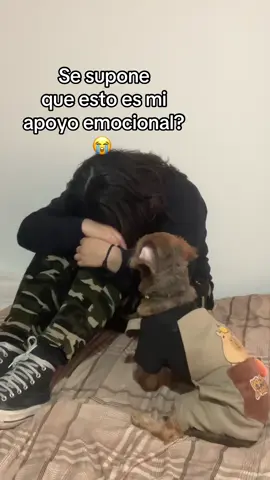 No ayuda 🙄🙄🙄🙄#fypシ゚ #foryoupage #aiko #perros #peru🇵🇪 #comediahumor #comedia #humortiktok #humor #comediahumor #perrostiktokers #depresion #ansiedad #soledad #amigofiel🐶 
