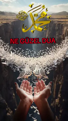 #keşfet #keşfet #engelimikaldirtiktok #engelimikaldirtiktok #keşfet 