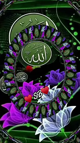 #allah❤️ #hazartmuhammads_s_a_w_w_❤️ #muslimtiktok #islamic_video #recitation_of_the_quran #fypシ #viral_videos #quranrecitation♥️🕋 