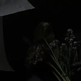 Niebla - (cover)  #babi #parati #fypppppppppppppp #contenido 