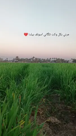 #ستوريات_انستا #سمير_صبيح❤️ #شعراء_وذواقين_الشعر_الشعبي🎸 
