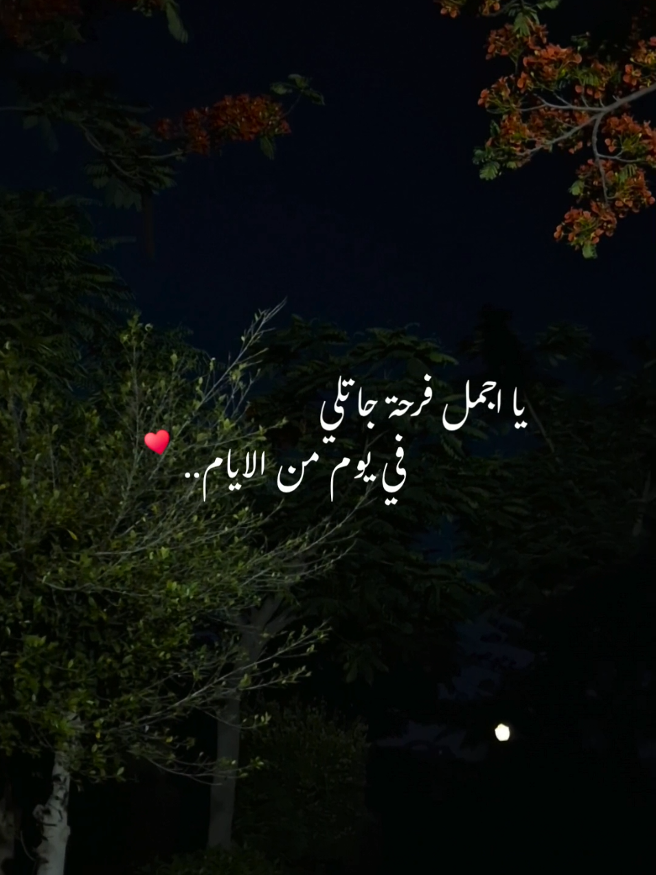 💎♥️♥️ياريتك جيتلي من بدري #اجمل_فرحه #مها_فتوني #music #musica #musiclyrics #song #songs #songlyrics #mahafatouni #maha_fatouni #view #views #rose #warda #اغاني #موسيقى #أجمل_فرحة #تصويري #ورد #مها_فتونى 