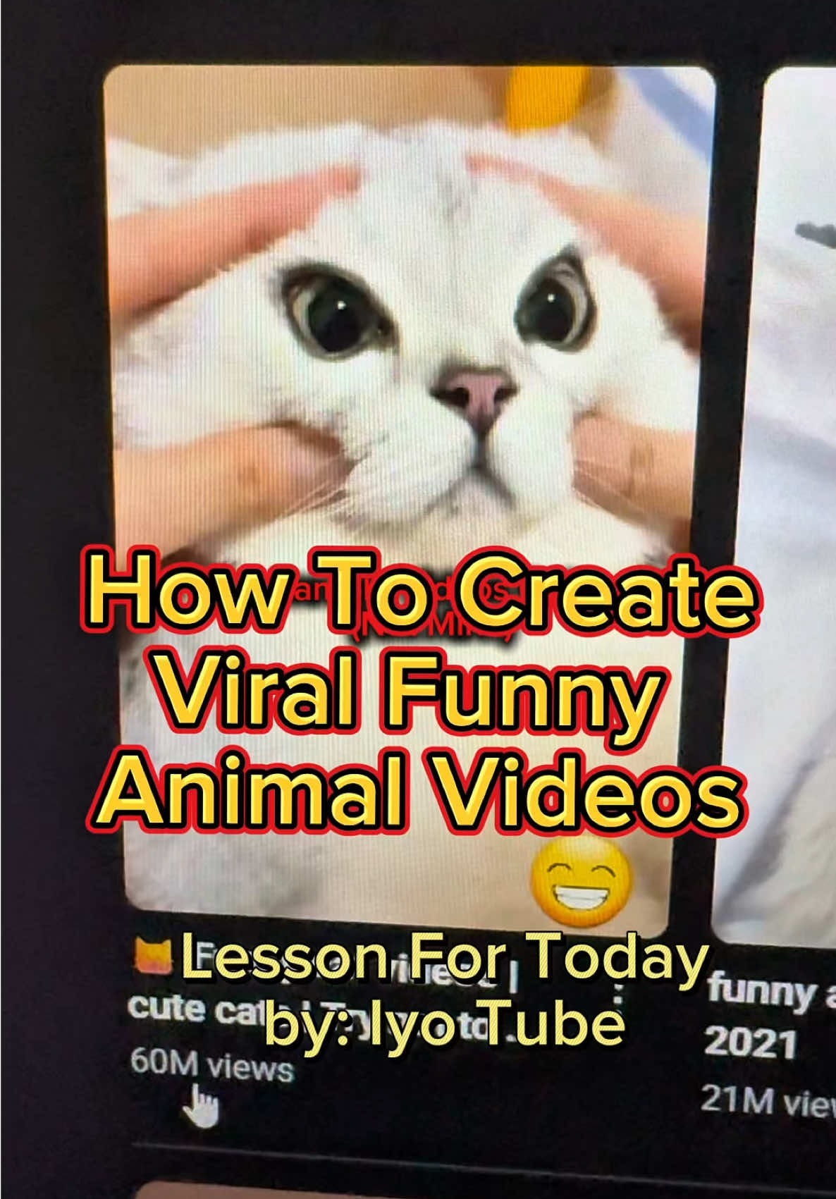 Paano Gumawa Ng Viral Animal Videos At San Makakadownload Ng Stock Videos? ✨Lesson For Today✨ #youtube #youtubeautomation #youtubeshorts #animals #animalvideos #iyotube #ytshorts #trend 