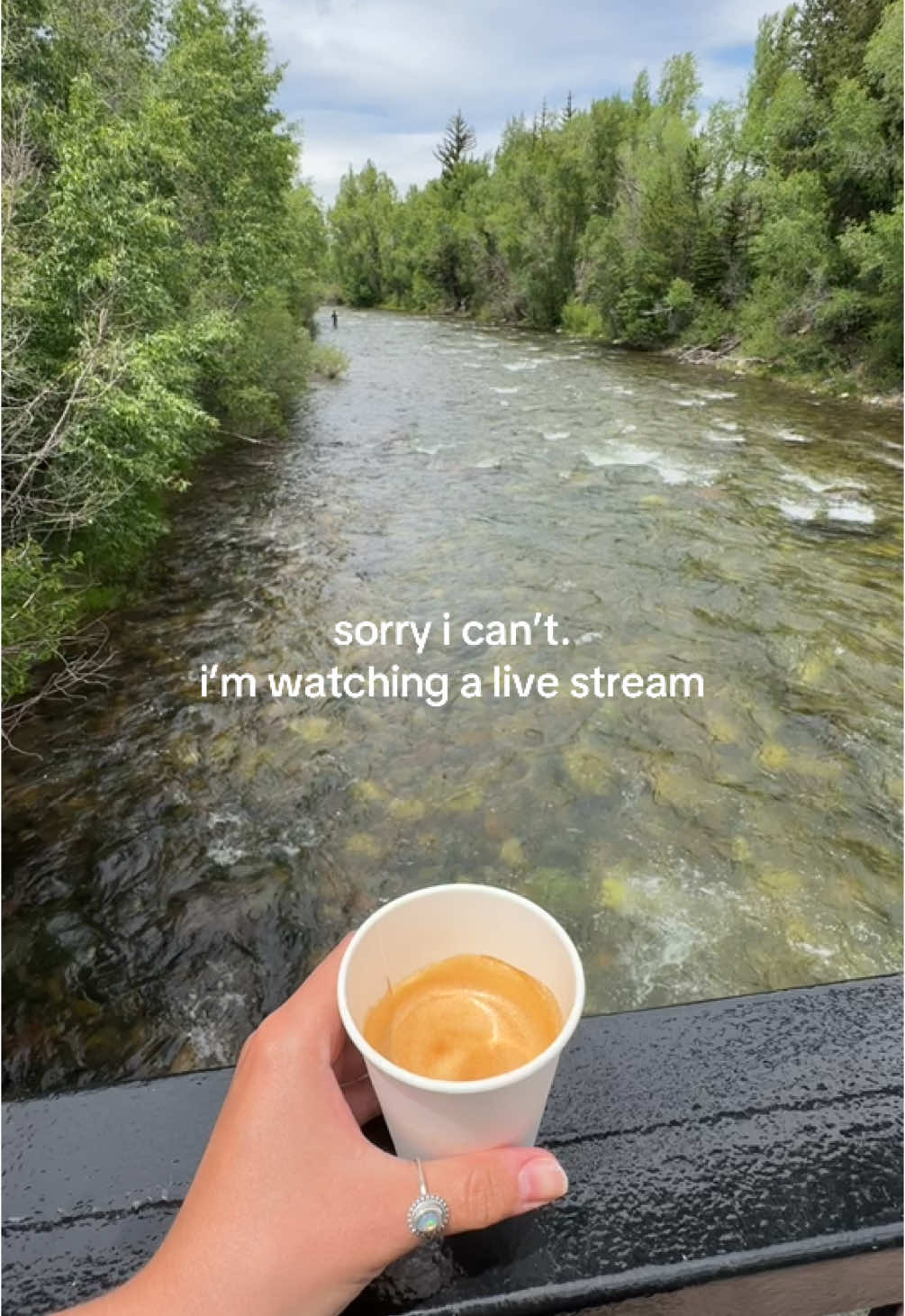 like name something better #fyp #coffee #mountains #river #camping #Hiking #Outdoors