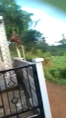 Asalamualaikum mat pagi 