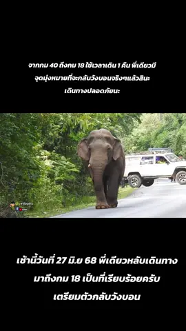 แล้วเจอกันอีกทีปีหน้านะครับขอบคุณ FC ทุกคนที่เป็นห่วงพี่เดี่ยวขอบคุณคุณหมอที่ดูแลรักษาพี่เดี่ยวเป็นอย่างดี#พลายเดี่ยวหลับ #จ่าพาไปดูช้าง 
