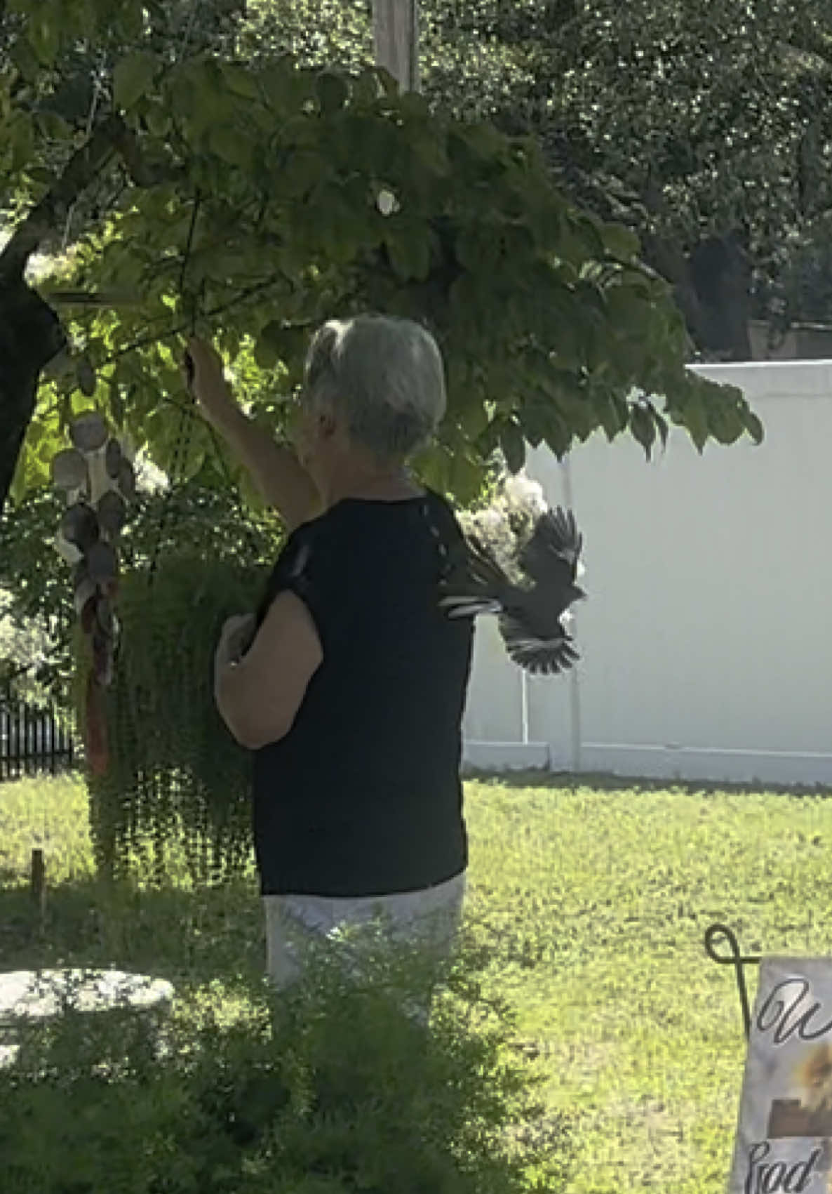 that isn’t the bird screeching that’s Mema #fyp #birdsoftiktok 
