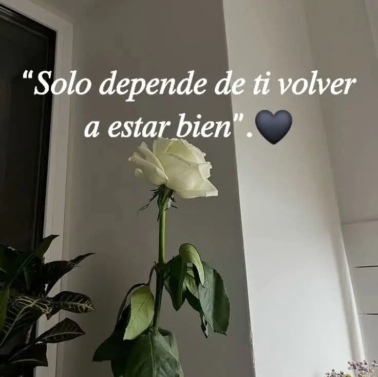 😉