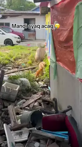 Abis bertukar warna 🤣🤣.. jenuh la nak hilang bau ayaq acaq tu.. #fypシ #lupijaksamaguasekarang #fypシ゚viral🖤tiktok☆♡🦋myvideo❤️❤️🥰🥰 