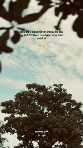 😹🤌#nimrodh_boy #1m #fyp #100k #srilankan_tik_tok🇱🇰 #25k 