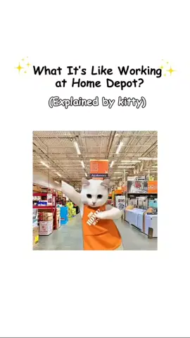 What it’s like working at Home Depot explained by kitty. #explainedbycats #catmemes #homedepot #working #relatable #catanimation #cats #learning #explainedbykitty 