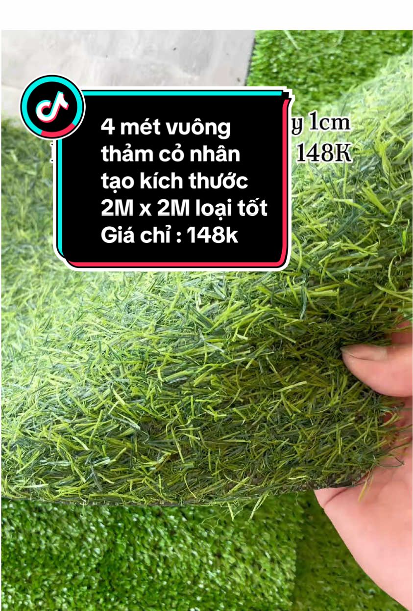 4 mét vông thảm cỏ nhân tạo . Kích thước 2M x 2M cỏ loại tốt giá chỉ 148k #xuhuongtiktok #vairal #trendingvideo #thamconhantao #conhantao #conhantaolotsan #conhantaotrangtri 