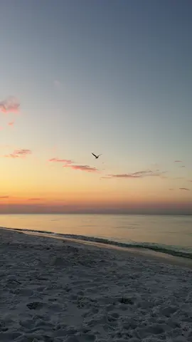 Nothing beats a Florida sunrise 