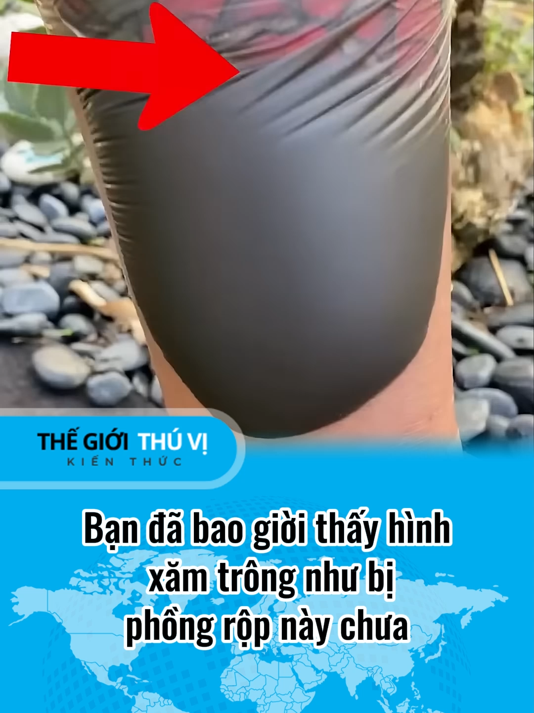 bạn đã thấy ai xăm hình như thế này chưa #thegioithuvi #khamphathegioi #xuhuong