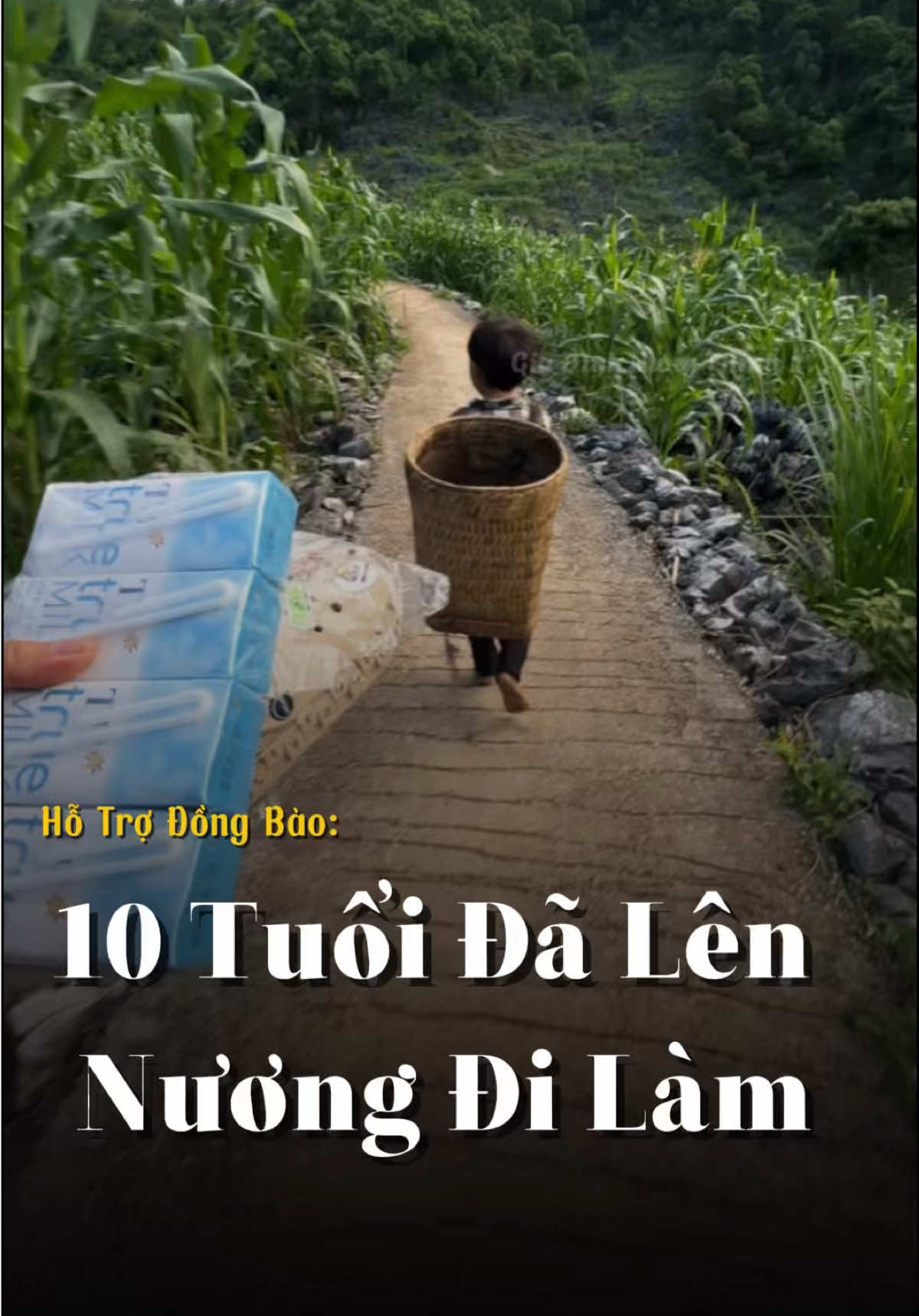 10 Tuổi Đã Lên Nương Đi Làm Cả Ngày #giadinhhungthinh #caohohungthinh 