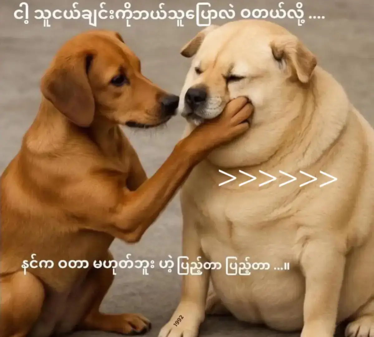 #ခင်ဗျားတို့ရဲ့ချစ်မဝလေးဖြစ်ချင်လို့😝😝 #ချစ်စရာကောင်းတာတစ်ခုပြမယ်🥺🎀 @aye.su.mon480 #မျက်စိမနောက်ကြေး😜😜😜😜 