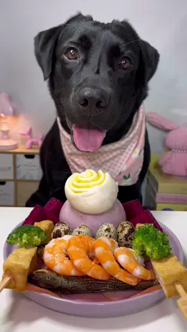 #labrador #cute #dog #pet #feed 
