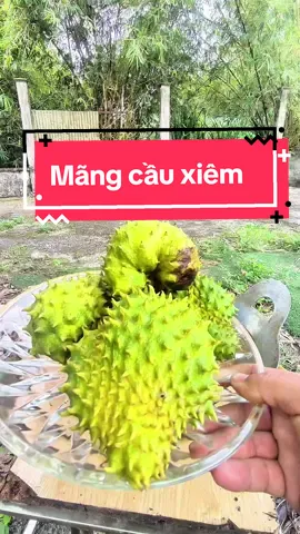 Mãng cầu xiêm chiên cùng Rán Fried Chiên! #ranfriedchien #ChienTatCa 