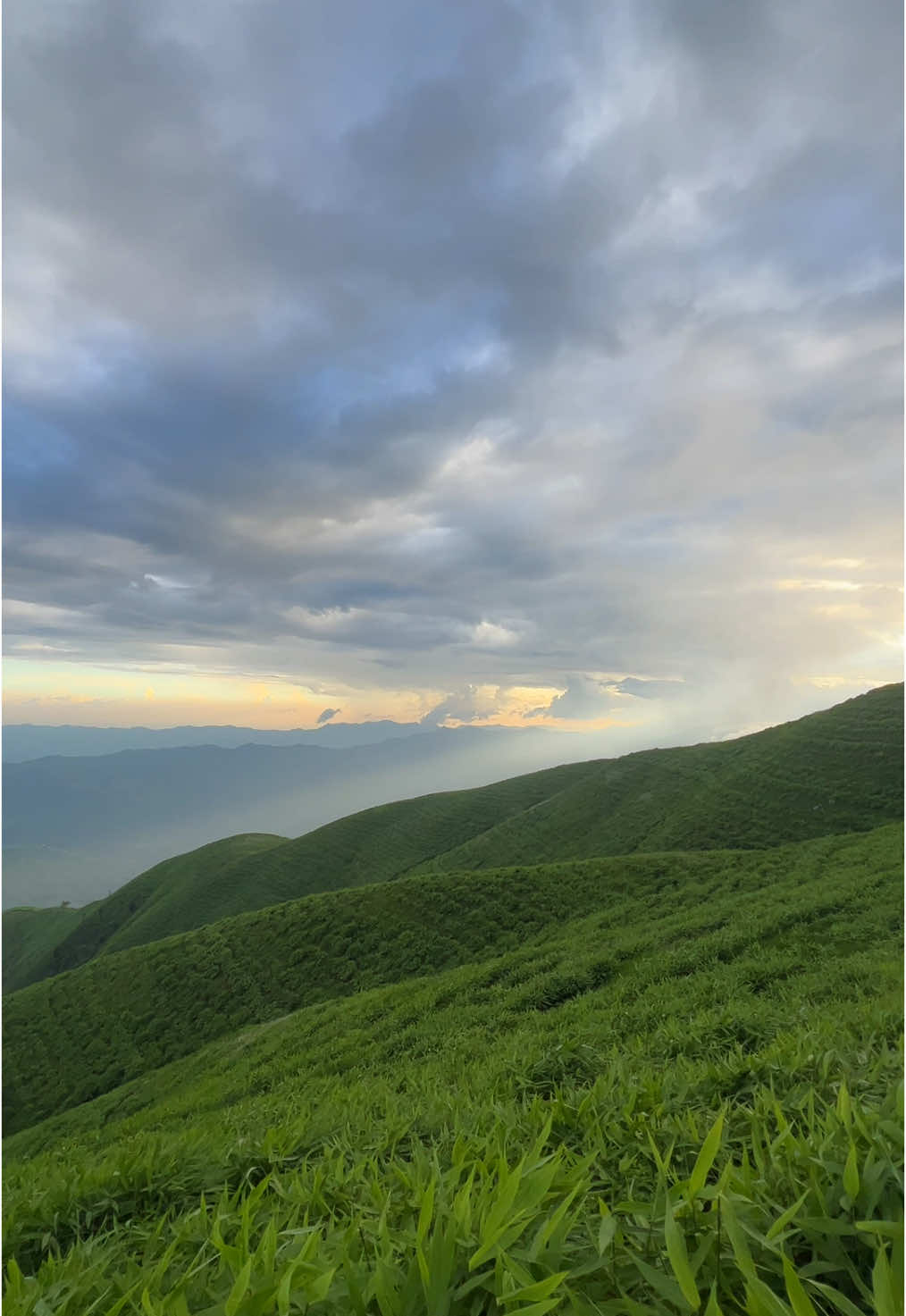 Kaule dada Jhirubas🍃❤️ #jhirubas #palpa #heaven #fyp 