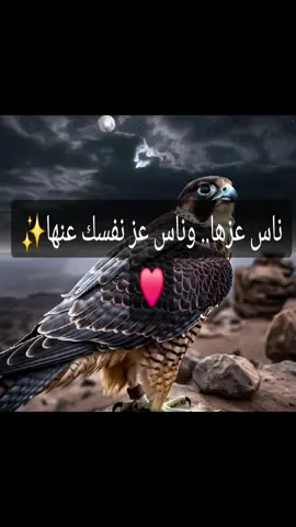 #عباراتكم_الفخمه📿📌 #شيلات_حماسيه 