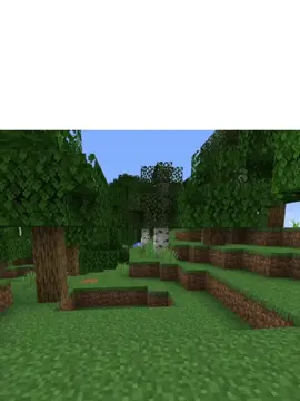 tag temen kalian yang begini #Minecraft #minecraftmemes #fyp #speedrun #minecraftspeedrun