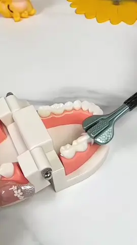 Buy2，Get2 Free Four-Sided Toothbrush.360-Degree CLeaning of Tooth Stains#toothbrush #toothbrushing #teeth #teethwhitening #teethcleaning #teethcare #dentalcare #3dtooth #toothbrushcleaning #ConSantanderConecto 