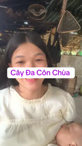Lên miền tây nam miền tây xứ Nghệ mời bạn ta đi về bên bờ sông Giăng #xh #ThiênThy #cover #thienthy 