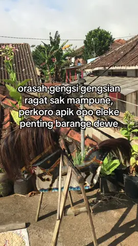 ASKARA #justkonten #jaranantemanggung #jarankepangtemanggung #temanggung 