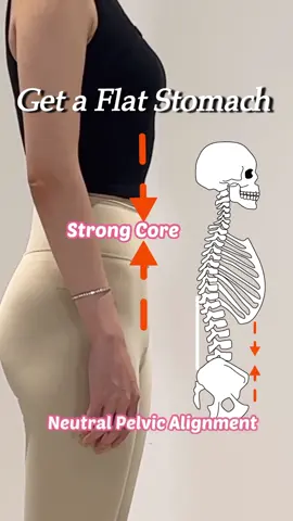 Get a Flat Stomach with Better Posture 💫 •Start with just 1 set and work your way up to 3 sets if it feels right for you ❤️ ✨Save this post and try it out today!   🎥 For more Pilates routines, check out my YouTube channel ‘Hong Rabbit’ 🔗 Link in bio 💕 #pilates #pilatesworkout #flatstomach #posturecorrection #coreactivation #betterposture #koreanpilates #homeworkout #feelgoodmovement #sculptyourcore #hongrabbit