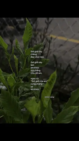 #deep_qwqp 