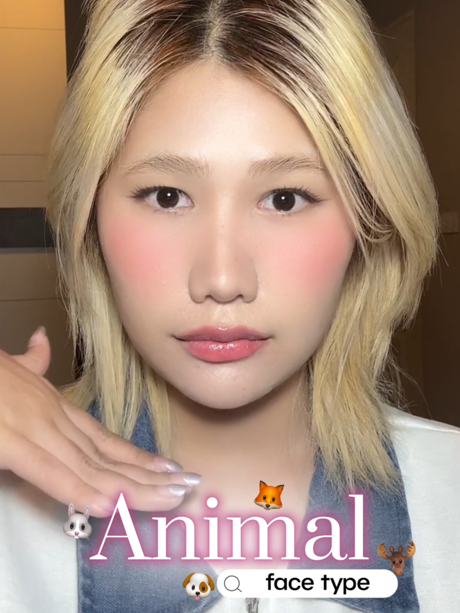 HOW TO ปัดแก้ม POP ตาม Animal Face Type หน้าของเราเป็น Type ไหน ควรปัดแก้มยังไง ให้หน้าสวย POP ไปดูกัน 💕🎥 #รีวิวodbo #บลัชกันแดด #บลัชปุ๊กปิ๊กodbo #BlushStickodbo #odboNewArrivals #odboThailand #โอดีบีโอ