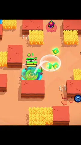 You Can’t Hide From Allie #brawlstars 
