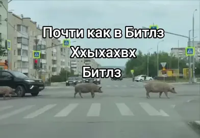 #янезнаю #хочуврек #fyp #битлз 