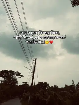 তোমার দোষ কি করে দিবো আমি নিজেই তো জোর করে সম্পর্ক গড়ে ছিলাম..!💔 #fyp #tranding #foryou #lyrics @TikTok #fypage #foryoupage #evaan_himel #viralvideo #unfrezzmyaccount 