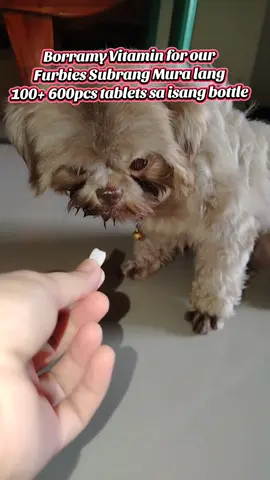 Probiotics Vitamin for your dog #furmom#pet#dog#vitaminsfordog #loveryourpets #petlover #fypシ #fypage #fypp #viewers #viral#probiotics #borammyprobiotics #borammy 